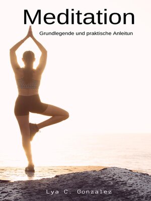 cover image of Meditation Grundlegende und praktische Anleitung